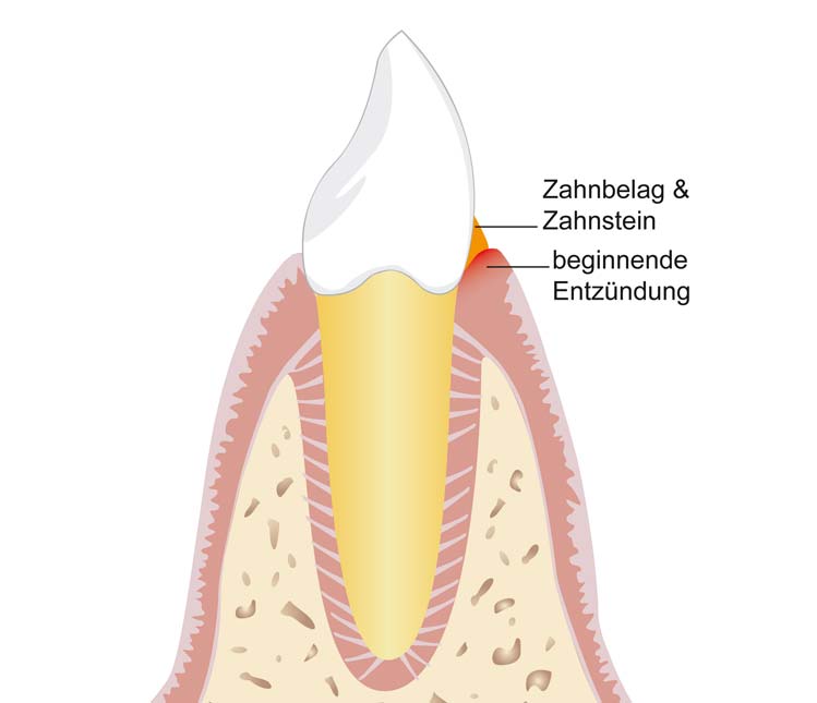 Zahnärzte Nieheim